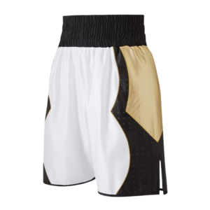 MMA Fighting Shorts